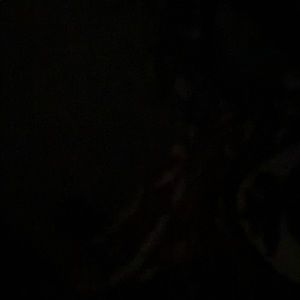 Meet your Posher, Natalia